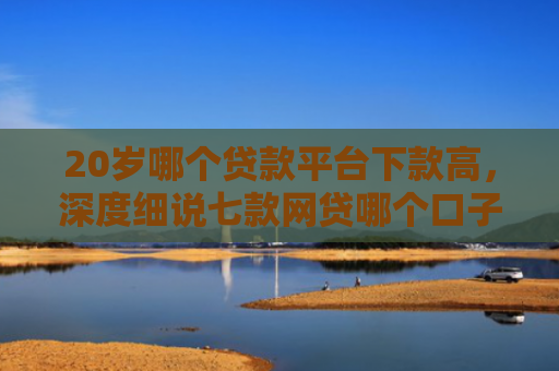 20岁哪个贷款平台下款高，深度细说七款网贷哪个口子下款率高