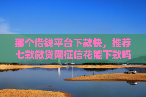 那个借钱平台下款快，推荐七款微贷网征信花能下款吗