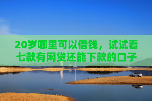 20岁哪里可以借钱，试试看七款有网贷还能下款的口子