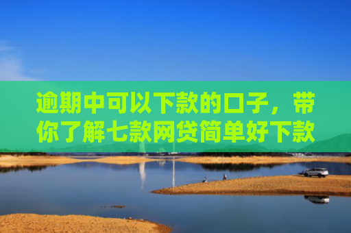 逾期中可以下款的口子，带你了解七款网贷简单好下款的口子