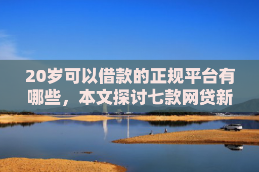 20岁可以借款的正规平台有哪些，本文探讨七款网贷新口子秒下款吗