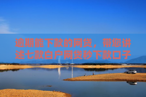 逾期能下款的网贷，带您讲述七款白户网贷秒下款口子