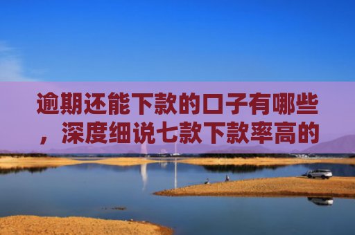 逾期还能下款的口子有哪些，深度细说七款下款率高的网贷口子及贷