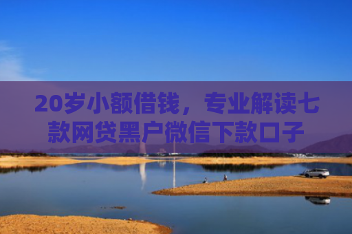 20岁小额借钱，专业解读七款网贷黑户微信下款口子
