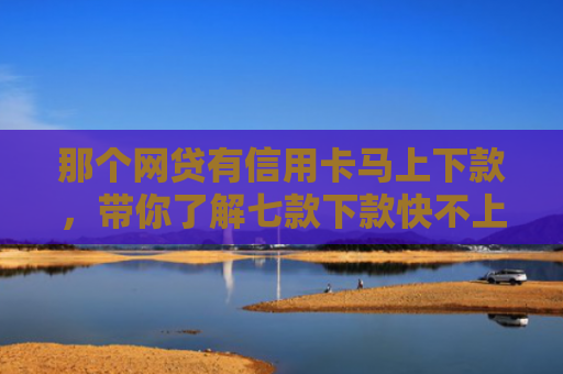 那个网贷有信用卡马上下款，带你了解七款下款快不上征信网贷平台
