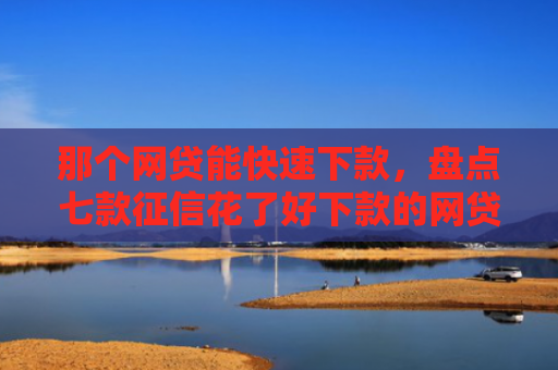 那个网贷能快速下款，盘点七款征信花了好下款的网贷吗