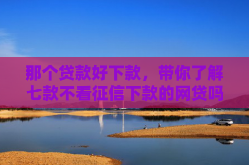 那个贷款好下款，带你了解七款不看征信下款的网贷吗