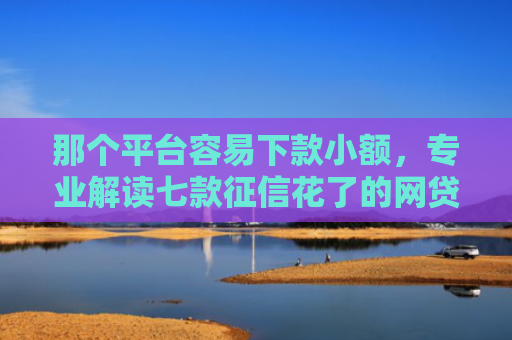 那个平台容易下款小额，专业解读七款征信花了的网贷能下款吗