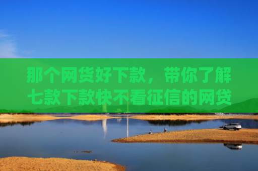 那个网货好下款，带你了解七款下款快不看征信的网贷app