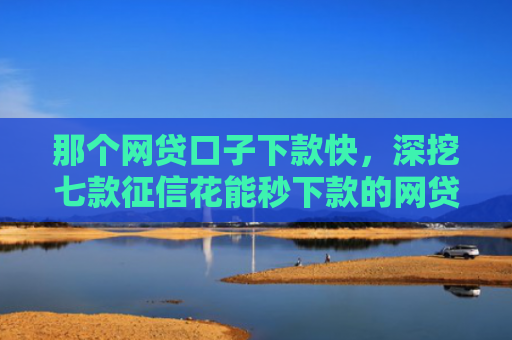 那个网贷口子下款快，深挖七款征信花能秒下款的网贷