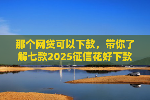 那个网贷可以下款，带你了解七款2025征信花好下款的网贷