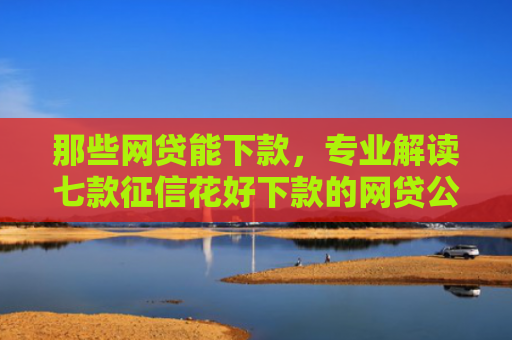 那些网贷能下款，专业解读七款征信花好下款的网贷公司