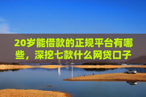 20岁能借款的正规平台有哪些，深挖七款什么网贷口子好下款的