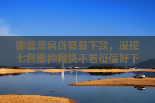 那些黑网贷容易下款，深挖七款那种网贷不看征信好下款吗