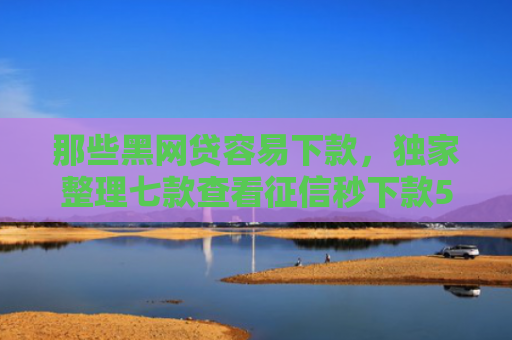 那些黑网贷容易下款，独家整理七款查看征信秒下款5000的网贷