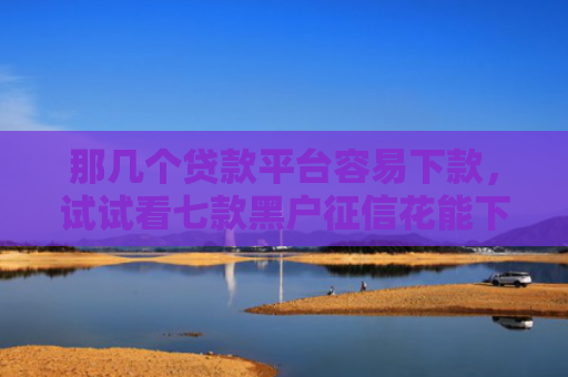 那几个贷款平台容易下款，试试看七款黑户征信花能下款的网贷