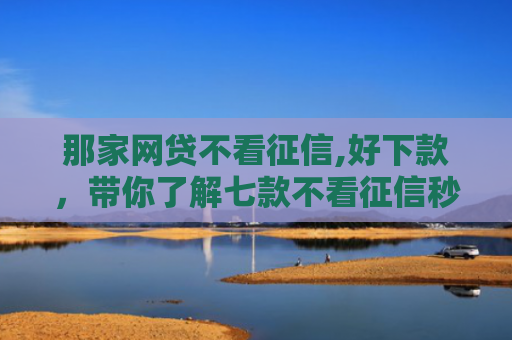 那家网贷不看征信,好下款，带你了解七款不看征信秒下款的网贷6