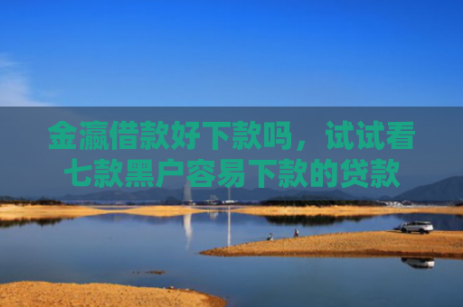 金瀛借款好下款吗，试试看七款黑户容易下款的贷款