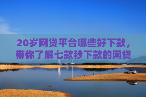 20岁网贷平台哪些好下款，带你了解七款秒下款的网贷最新口子