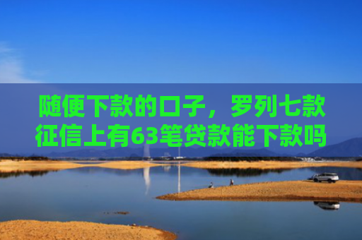 随便下款的口子，罗列七款征信上有63笔贷款能下款吗