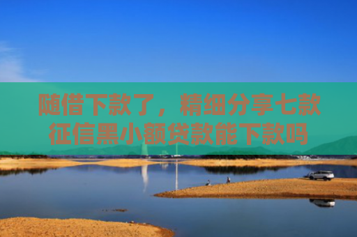 随借下款了，精细分享七款征信黑小额贷款能下款吗