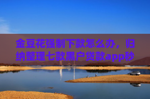 金豆花强制下款怎么办，归纳整理七款黑户贷款app秒下款
