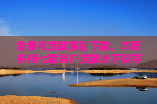 金质花贷款强制下款，本篇归档七款黑户贷款必下款平台