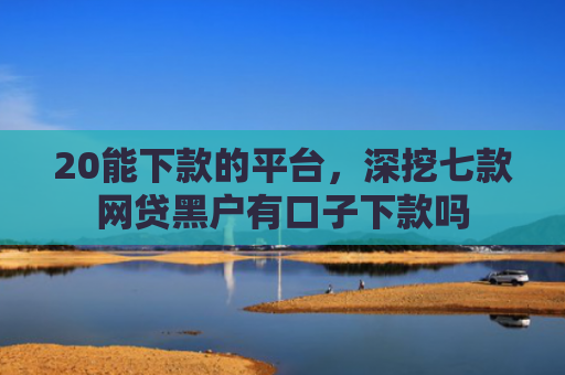 20能下款的平台，深挖七款网贷黑户有口子下款吗