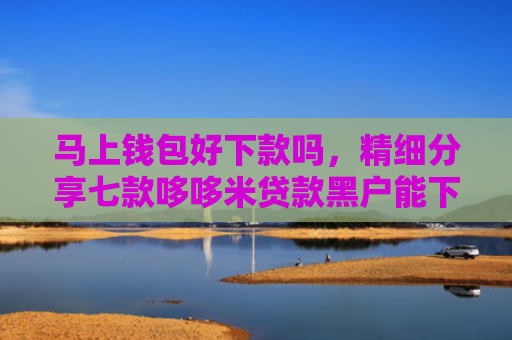 马上钱包好下款吗，精细分享七款哆哆米贷款黑户能下款吗