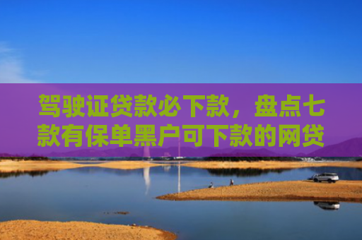 驾驶证贷款必下款，盘点七款有保单黑户可下款的网贷