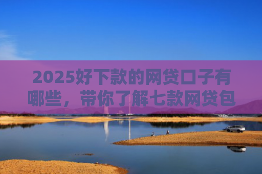 2025好下款的网贷口子有哪些，带你了解七款网贷包下款的口子