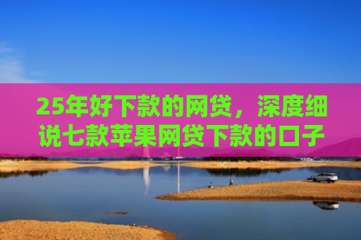 25年好下款的网贷，深度细说七款苹果网贷下款的口子