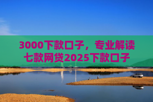3000下款口子，专业解读七款网贷2025下款口子